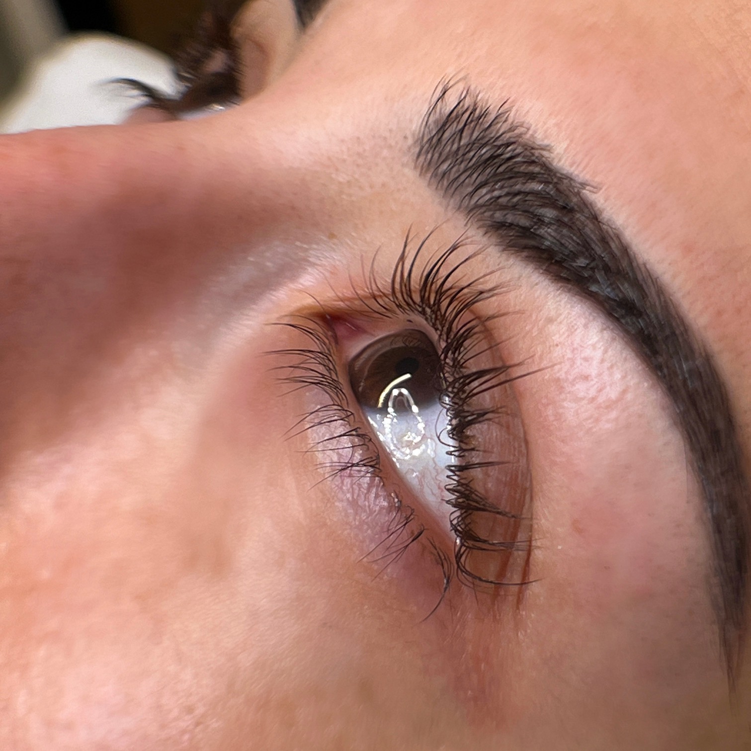 Wimpern lifting BBrows